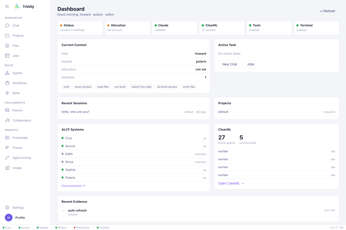 Trinity workspace after login