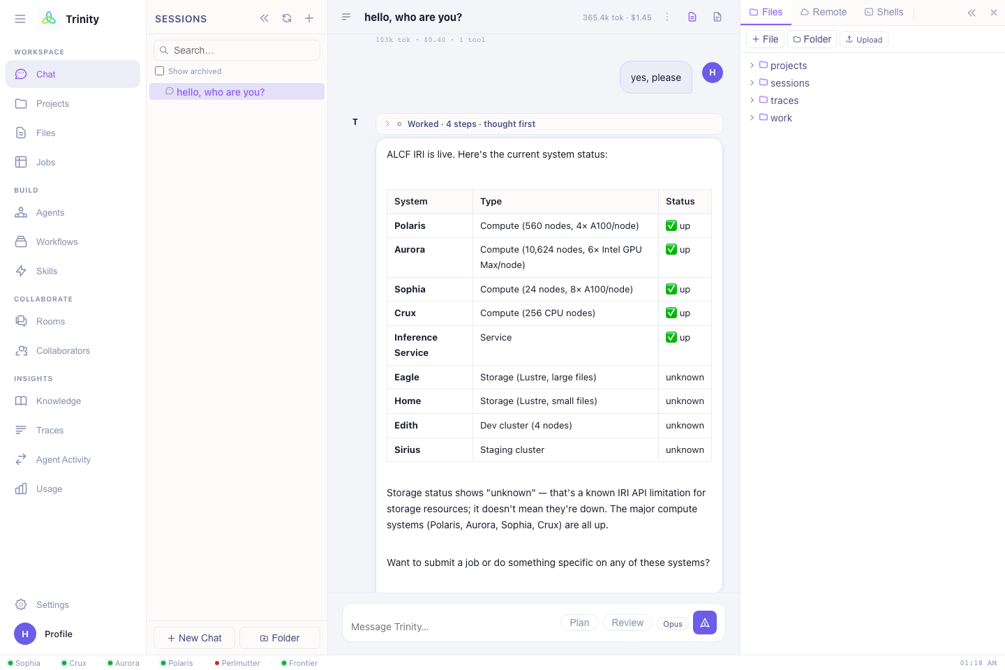 The file panel open beside a chat