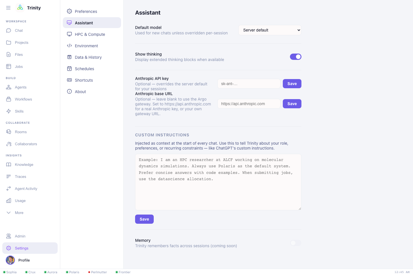 Settings — Assistant pane, with the custom instructions box